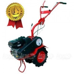 Мотоблок Агат БС-6.5 с двигателем Briggs&Stratton RS 6.5 л.с. (фрезы в комплекте) в Иркутске