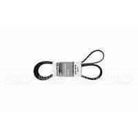 Pubert 0306030002 Ремень привода для ECO, ELITE, PRIMO (с реверсом) 5718 в Иркутске