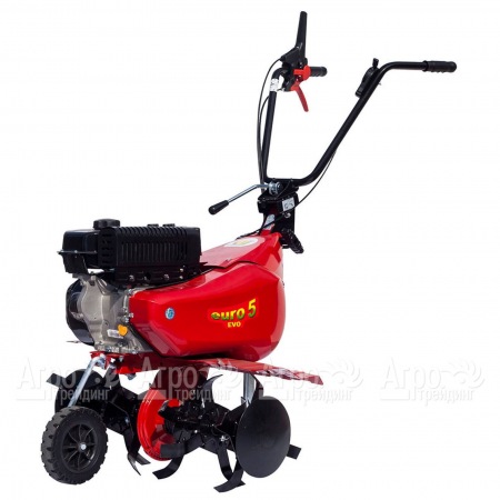 Культиватор Eurosystems Euro-5 EVO RM S/R Loncin TM60 в Иркутске