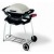 Газовый гриль Weber® Q™ в Иркутске